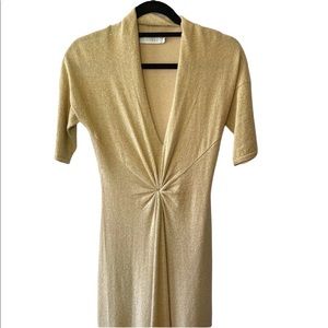 Chaiken Gold dress
